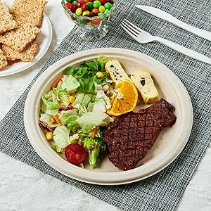 100% компостируемые 10 дюймовые бумажные пластины, тяжелые бумажные пластины, одноразовые биоразлагаемые экологически чистые сахарные тростники 3