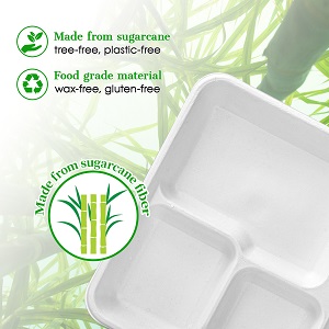 5 Плиты для отделений, 125 упаковок одноразовых бумажных пластинок, биоразлагаемые пластины сахарного тростника, экологически чистые школы 1