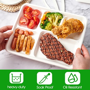 5 Плиты для отделений, 125 упаковок одноразовых бумажных пластинок, биоразлагаемые пластины сахарного тростника, экологически чистые школы 2