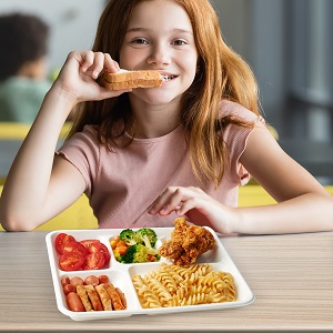 5 Плиты для отделений, 125 упаковок одноразовых бумажных пластинок, биоразлагаемые пластины сахарного тростника, экологически чистые школы 4