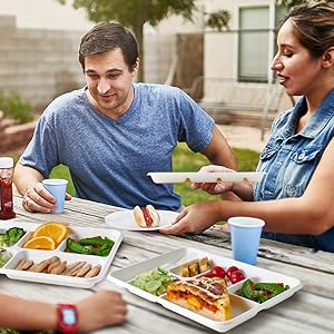 Компостируемые 6 отделных тарелок, 90 упаковок отделных бумажных тарелок, 12,5 * 8,6 дюймов одноразовые школьные обеденные подносы 3