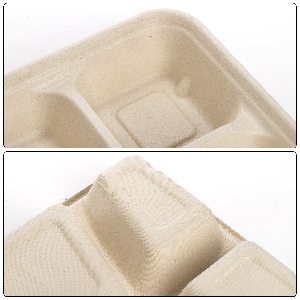 5 отсека Снакс Поднос для еды Сахарный тростник Багасса Тарелка одноразовые Тарелки экологически чистые Белые натуральные Багасса 2