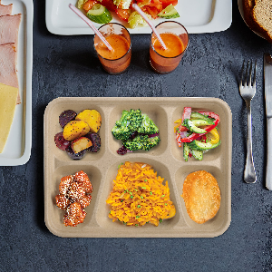 5 отсека Снакс Поднос для еды Сахарный тростник Багасса Тарелка одноразовые Тарелки экологически чистые Белые натуральные Багасса 3