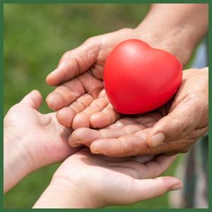 Большие пакетики с хлебом, 13,7 x 8,2 x 3,5 дюйма Пакет для хлебопекарни из крафт-бумаги с окнами 7