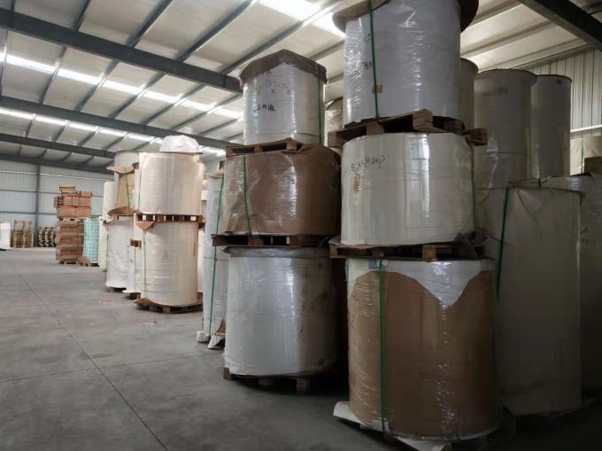 Фабрика жиронепроницаемая водонепроницаемая одностенная двойная PE покрытая Kraft Paper Roll Пищевой класс сырье для бумажной чашки 6