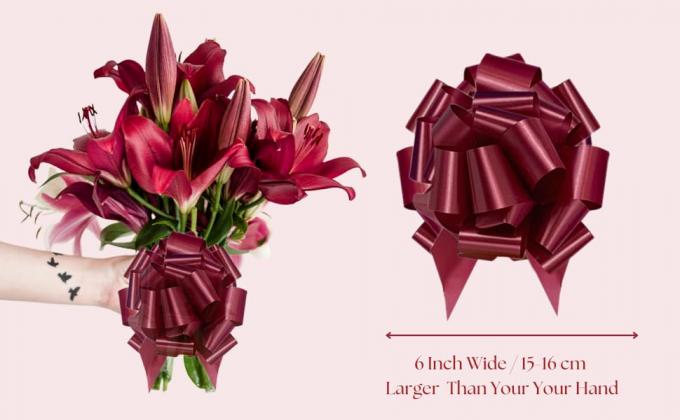 Пасхальный подарок обернуть тянуть луки, большой 6 дюймов разнообразный подарок тянуть луки, для подарок корзины, подарок сумки коробки обертывания декор 2