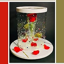 Высокие прозрачные коробки для торта с лентой - золотые круглые прозрачные коробки для торта на день рождения. 2