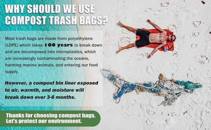 Компостируемые продукты пищевой промышленности одноразовые перчатки ресторанов безопасные для приготовления пищи обработки подачи пищевых продуктов на основе растительного ПЛА экологически чистые 7