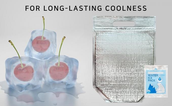 Изолированный обеденный мешок с замком и ручкой, многоразовые прохладительные и тепловые мешки, прохладительный мешок, горячий и холодный, идеально подходит для бутерброда 12