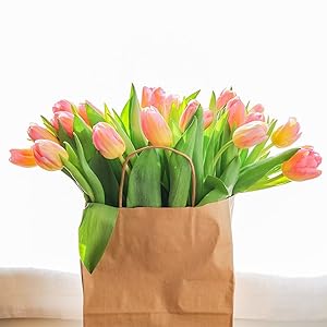 Бумажные пакеты Kraft, 5,4 "X3,3" X13" Перерабатываемые пакеты для коричневого вина Бумажные подарковые пакеты розничные пакеты Погрузочные пакеты с ручками 5