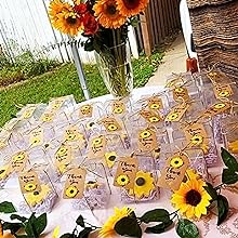 Прозрачные пластиковые коробки для свадьбы, дня рождения, пасхального праздника 6